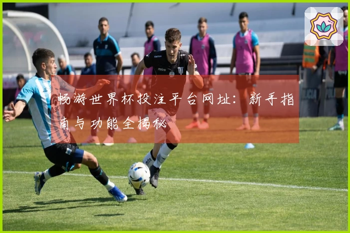 畅游世界杯投注平台网址：新手指南与功能全揭秘