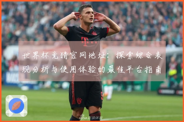 世界杯竞猜官网地址：探索综合表现分析与使用体验的最佳平台指南