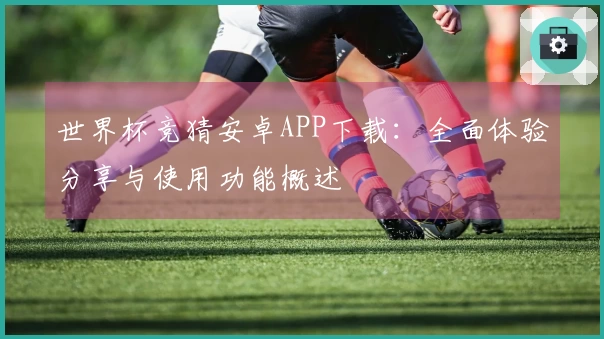 世界杯竞猜安卓APP下载：全面体验分享与使用功能概述