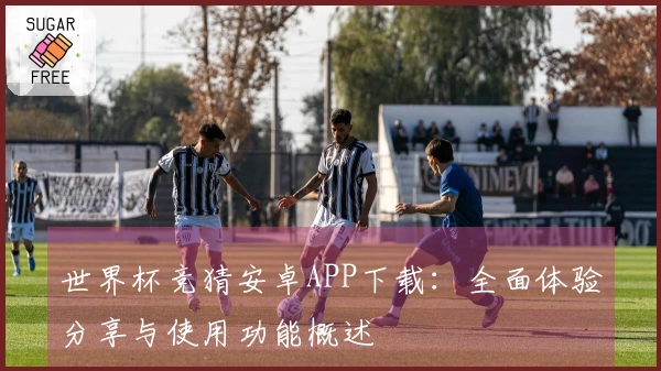 世界杯竞猜安卓APP下载：全面体验分享与使用功能概述